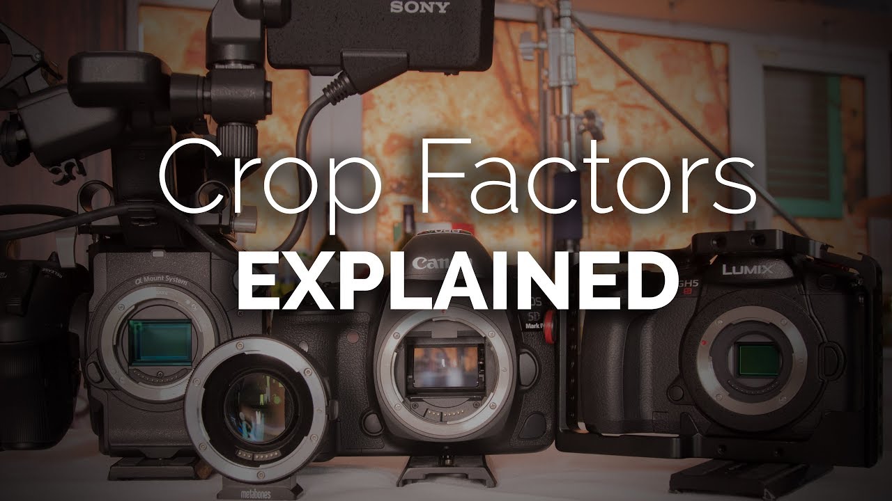 Explaining Crop Factors