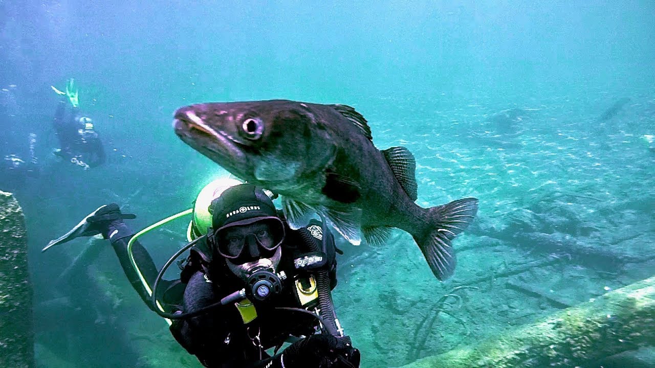 Tauchen im Bergsee, der legnd&auml;re Blindsee Juni 2018