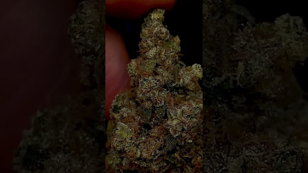 Chemical Gelato - [  Cookies x Compound Genetics ]