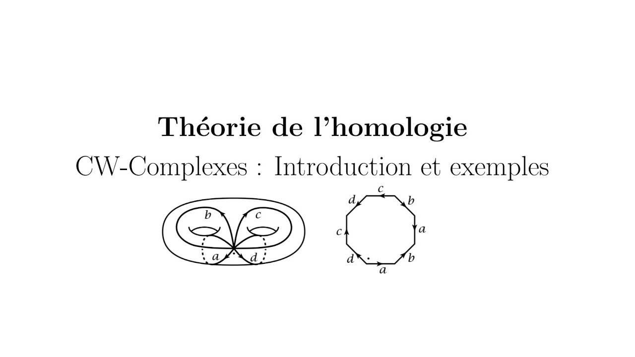 Théorie de l'homologie - CW-Complexes : Introduction et exemples
