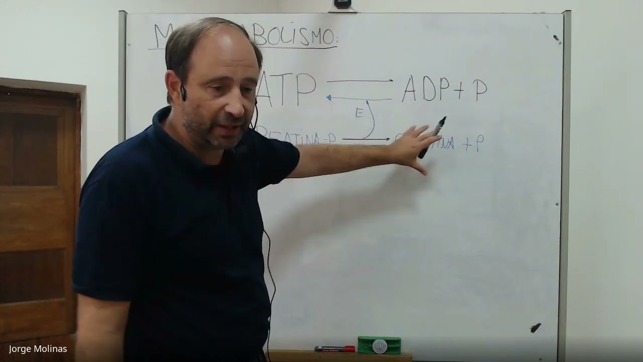Clase de Repaso TYTL -  Fisiología del Deporte - Prof Jorge Molinas