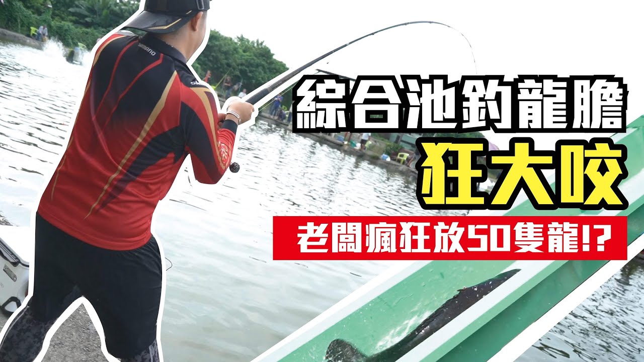 【海釣場系列】綜合池龍膽石斑釣回本 狂大咬！老闆瘋狂加放五十隻龍膽 ! ? ｜海釣場Ep.1｜林園南台灣｜九班的日常生活｜#釣魚#海釣場#綜合池#龍膽石斑