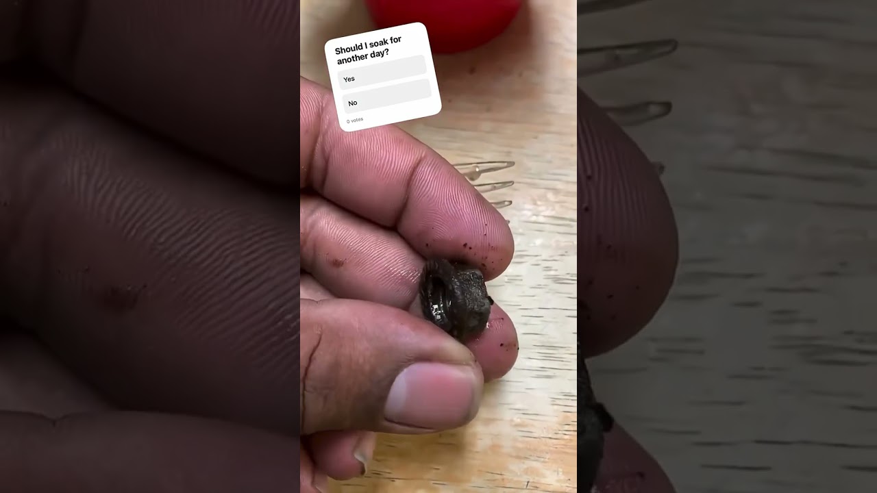 The $2 Rust Removal Hack Every Tool Owner Should Know! #rustremoval