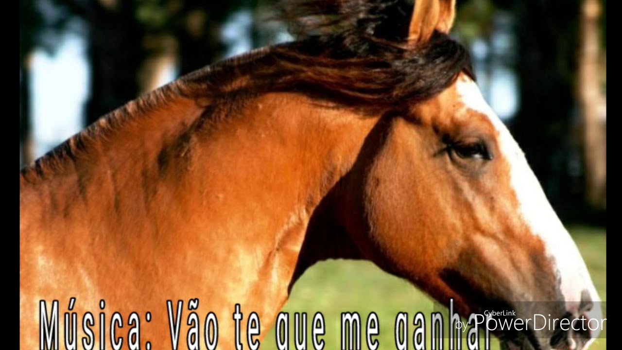 M&uacute;sica: V&atilde;o te que me ganhar