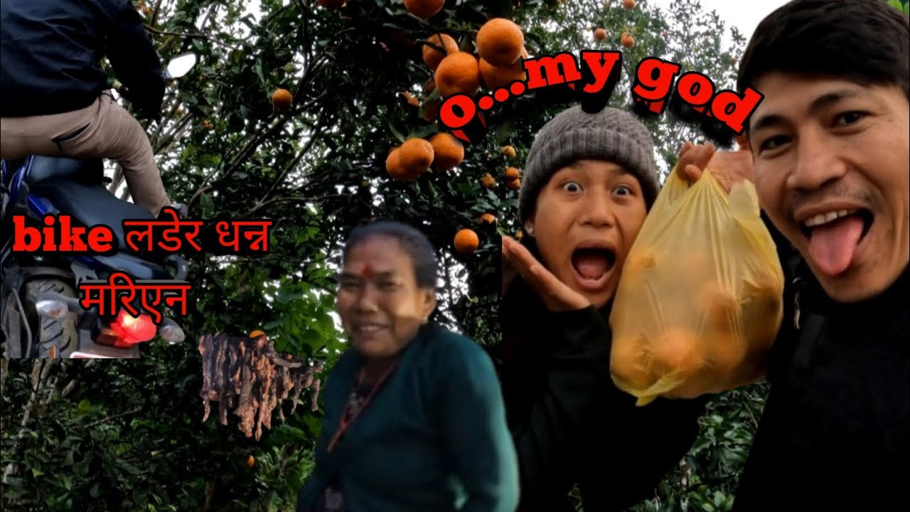 Suntala tipna gaiyo 🍊\\ vir batw dhanna khasiyena sali vena 😥\\chauki view tower batw hole chitwan  
