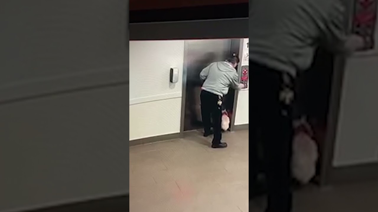 Caught on camera: Edmonton man saves dog after leash gets stuck in elevator door #shorts