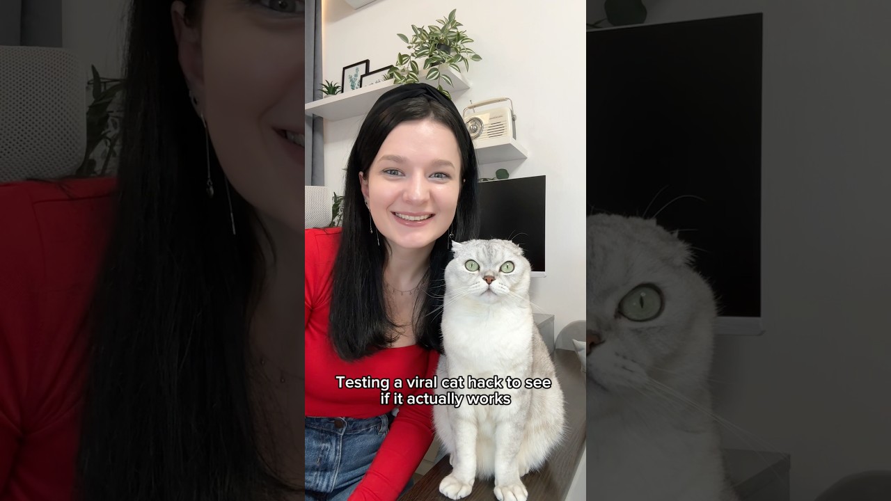 Testing a viral cat hack 🙀 #cat #viralcats #hack #pets #viralhacks