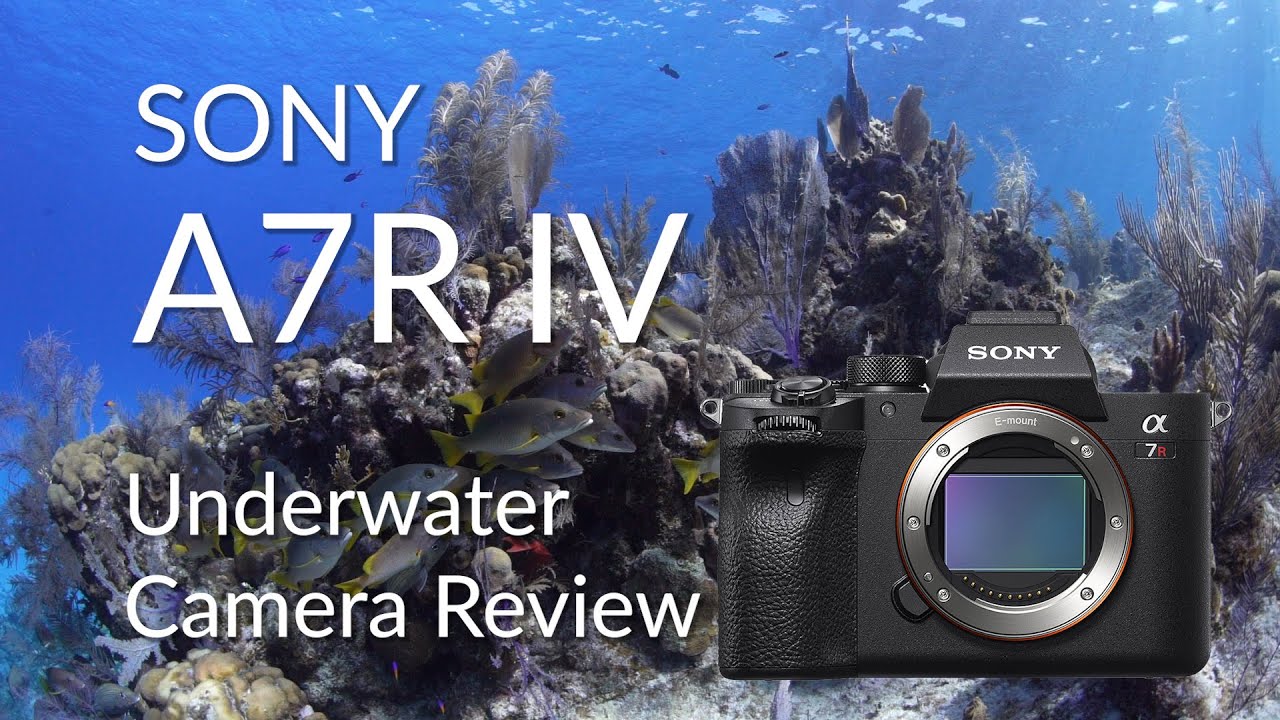 Sony A7R IV Underwater Camera Review