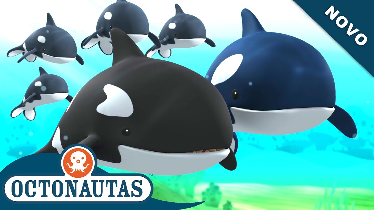 Octonautas - As Orcas | Episódio inteiro 3 | Primeira Temporada