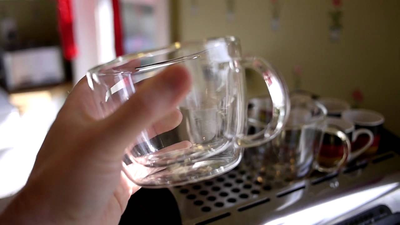 My Review of The Bodum Double-Walled Latte Glasses