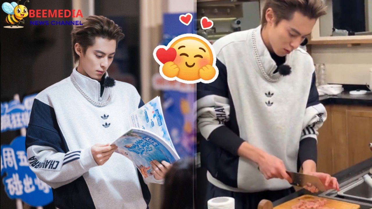 The Inn 2026 Dylan Wang as a Chef, Every Moment Is Addictive 🔥👨‍🍳 #DylanWang #HediWang