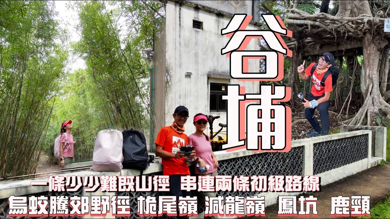 谷埔+桅尾嶺 兩條初級路線 由一條有啲啲難路段串連[香港行山郊遊好去處] 4K航拍 烏蛟騰出發 探尋五肚村落 沿流水溪澗落谷埔蘆葦田｜沙頭角海邊連島沙洲｜大埔粉嶺郊遊路線 Feat. YAS 微保險