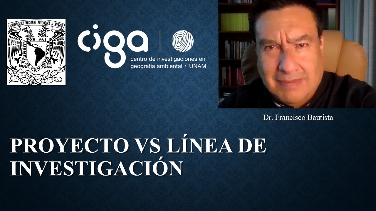 18  Proyectos vs líneas de investigación