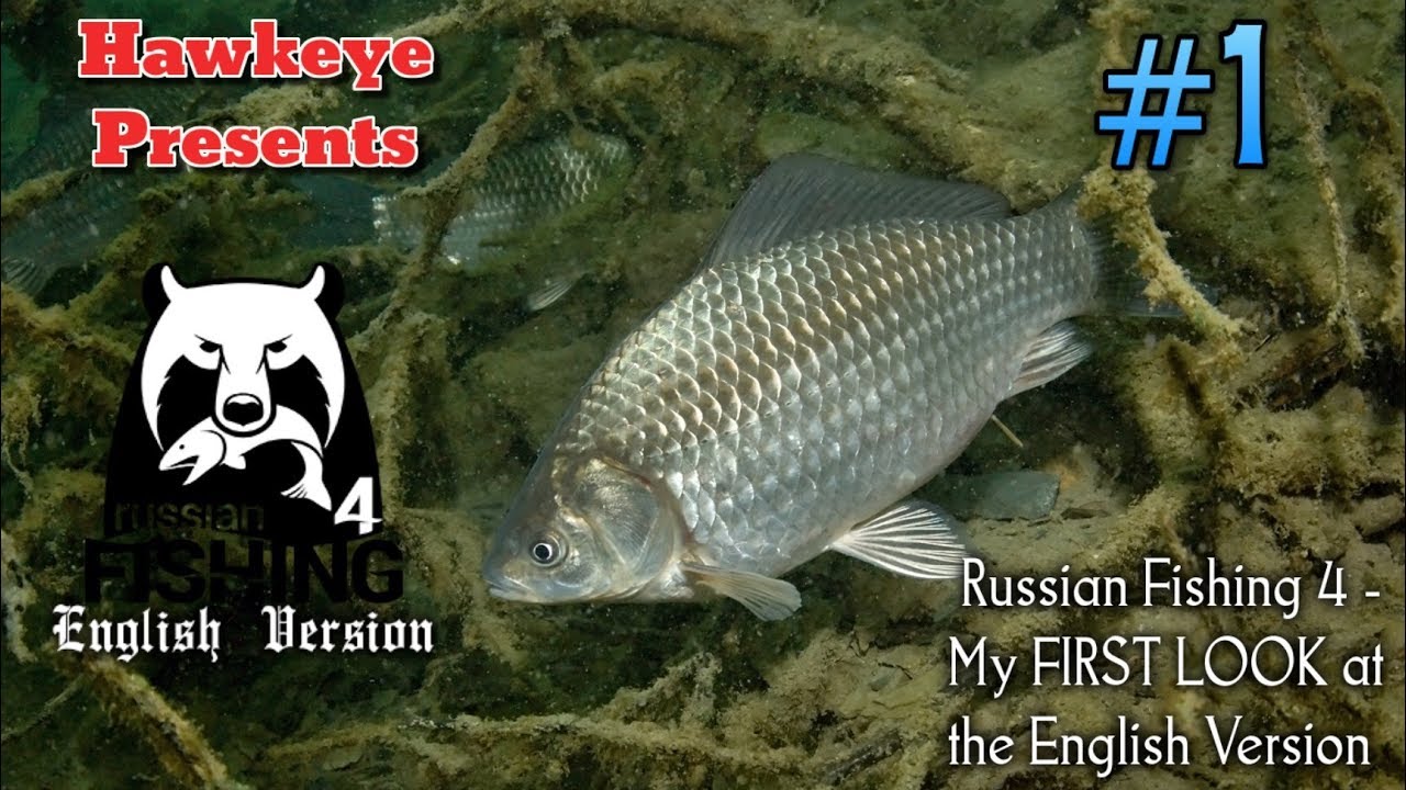 Russian Fishing 4 | #1 - My FIRST LOOK at the English Version!