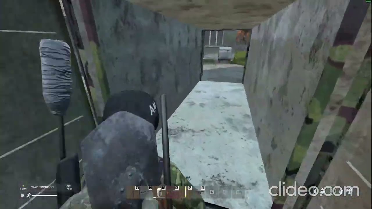 Однажды на VMC :  HINEX DayZ