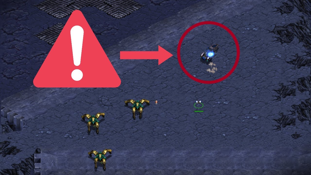 !!!DO NOT CHASE VULTURES!!!