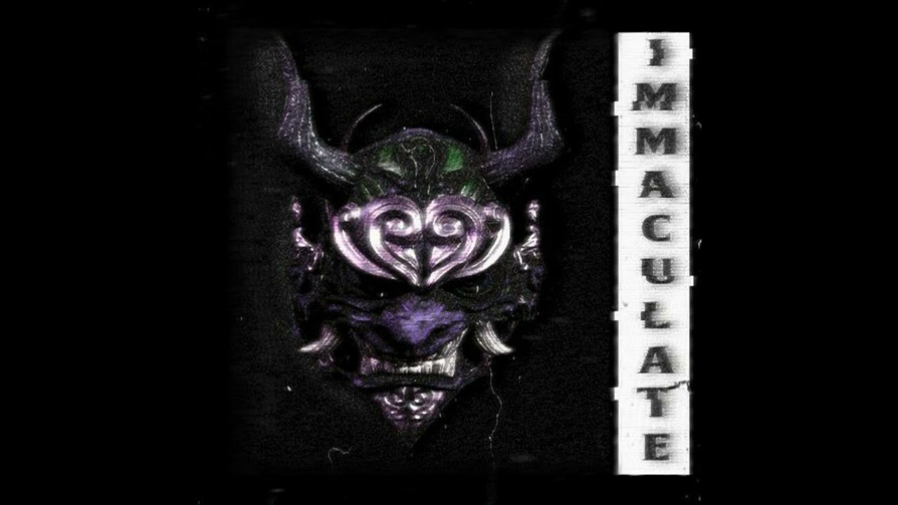 VISXGE - IMMACULATE (slowed to perfection)