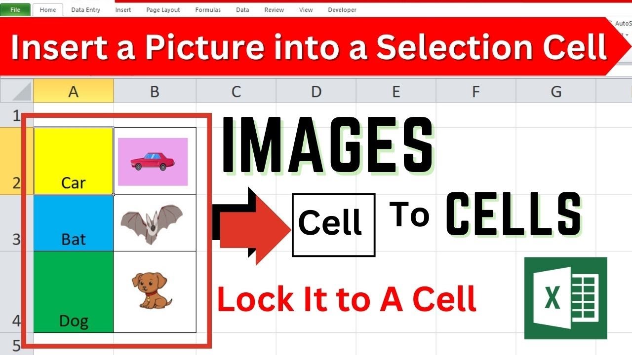 How To Insert Images In Excel Cell Picture insert and Automatic Resize