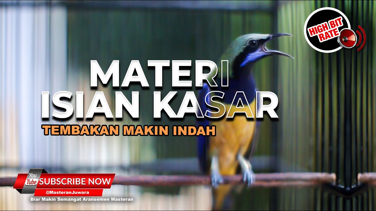 🔴Masteran Cucak Cungkok Isian Materi Kasar Tembakan Makin Mewah
