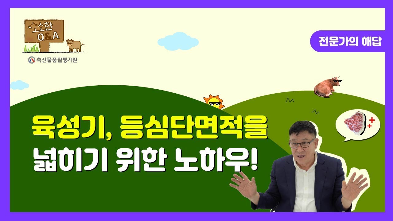 육성기, 등심단면적을 넓히기 위한 노하우가 궁금해요!ㅣ축평원의 소소(牛牛)한 Q&A