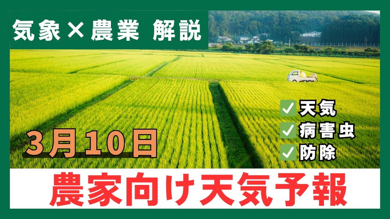 【寒の戻り/霜発生注意】今後の天気と農業への影響 | ３月１０日