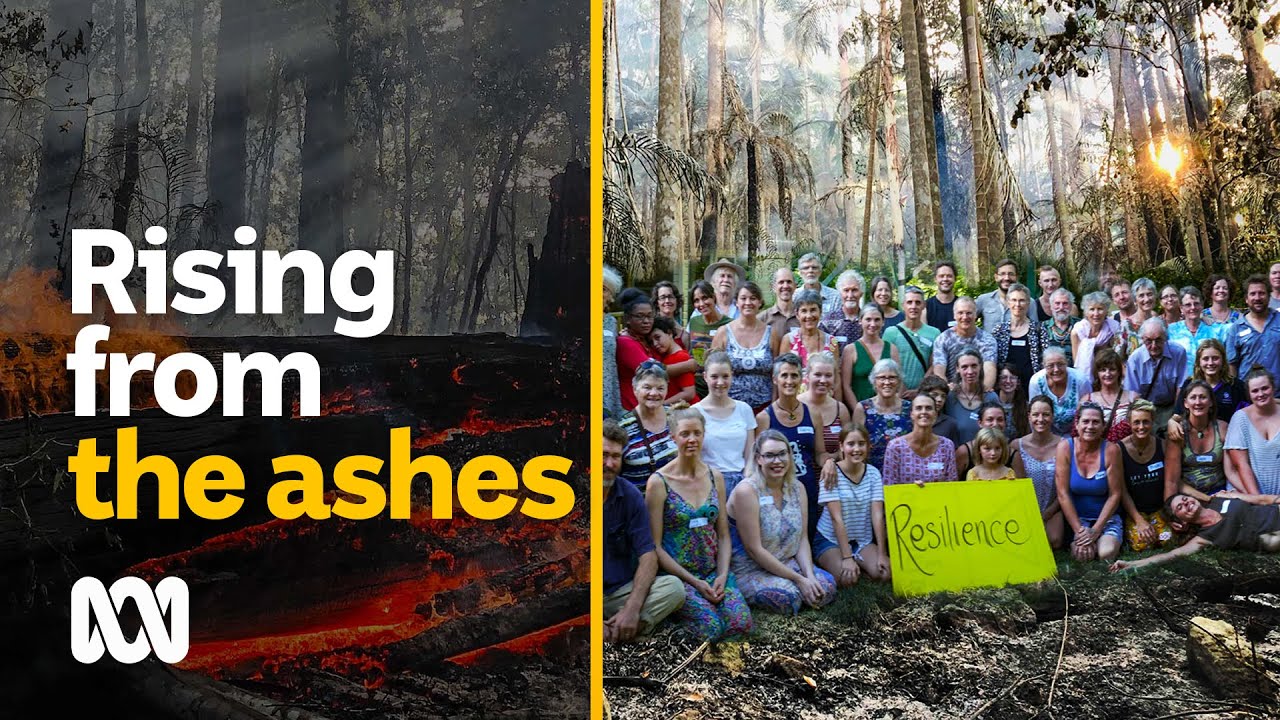 Rising from the ashes — prepping for future disasters | 2020 Black Summer bushfires | ABC Australia
