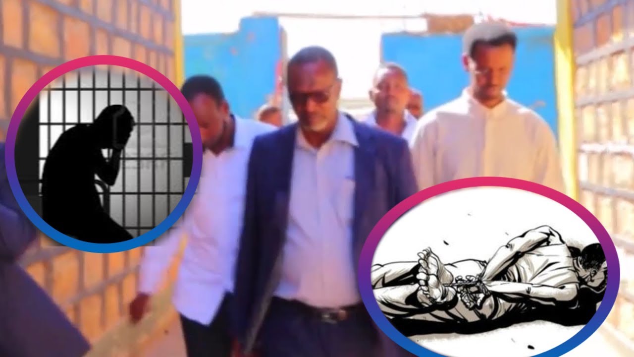 Qalbi dhagax oo Ka hadlay Dhibaatadii Jeel Ogaadeen