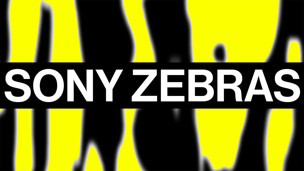 SONY ZEBRAS: What's the difference between lower limit and standard plus range (std+range)