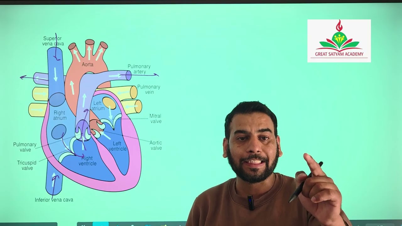 The Human Heart: Structure & Function | Class 10 Biology (RBSE) Great Satyam Academy Sr. Sec. School