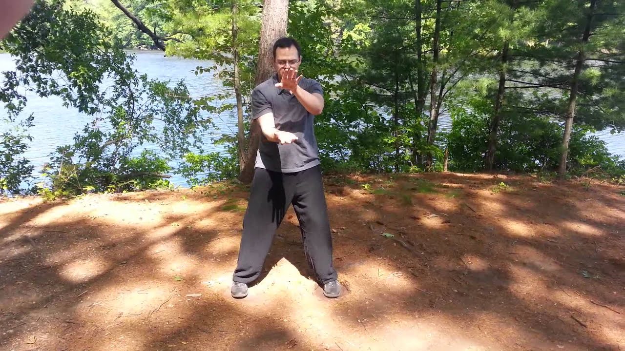 Wing Chun - 8 Double Hands