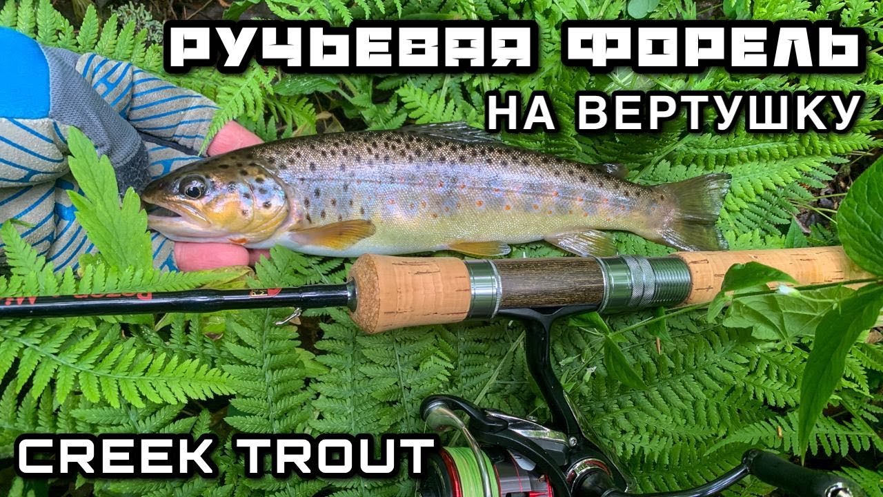 Как поймать Форель на Блесну ? РУЧЬЕВАЯ ФОРЕЛЬ на Вертушку УЛЬТРАЛАЙТ Рыбалка на Спиннинг на Ручье