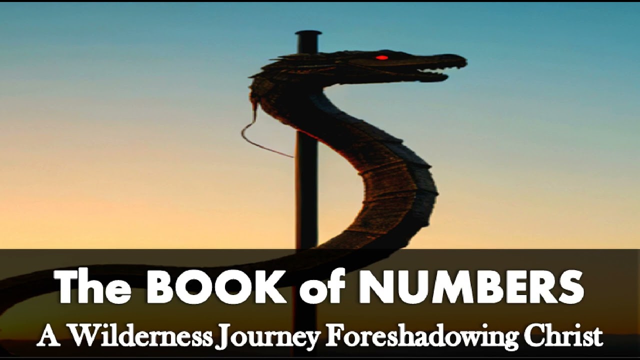 What is the Main MESSAGE of The Book of Numbers - Christ in NUMBERS (A Prophetic Revelation!)