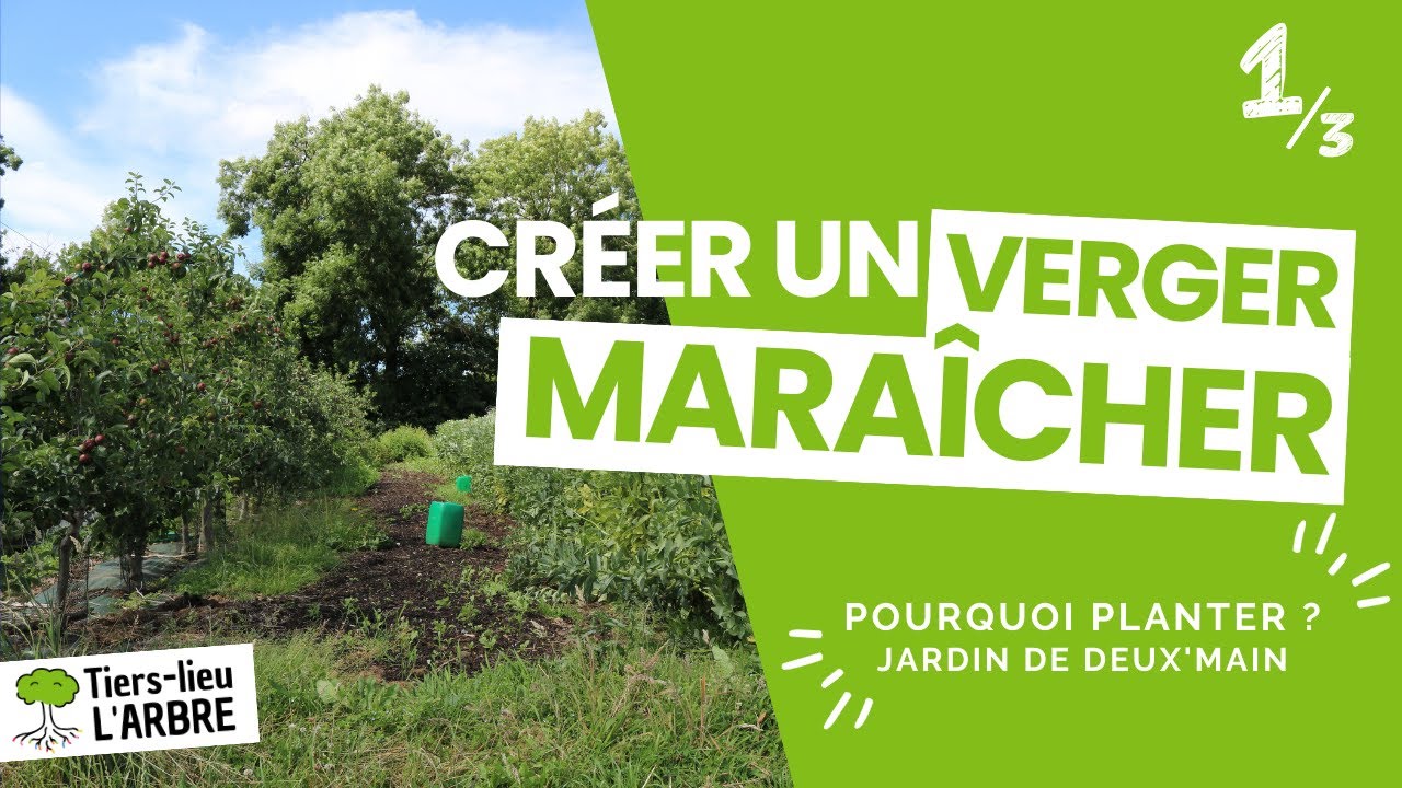 Créer un VERGER MARAÎCHER - Jardin de deux'main 1/3