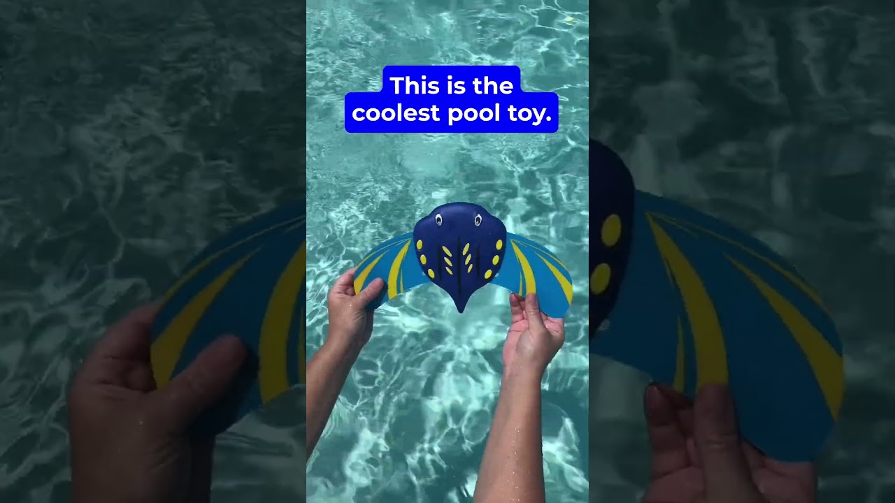 The Best Pool Toys! #pooltoy #poolday #summertime