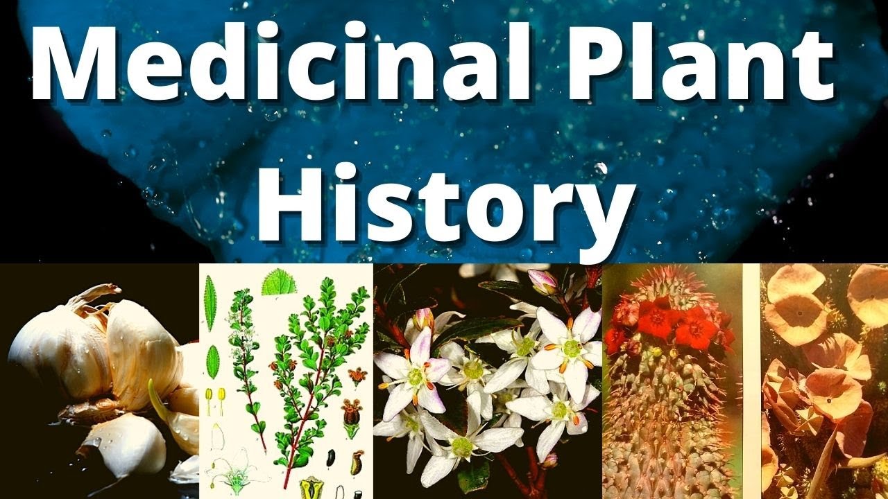 Medicinal Plant History (BOT2605)