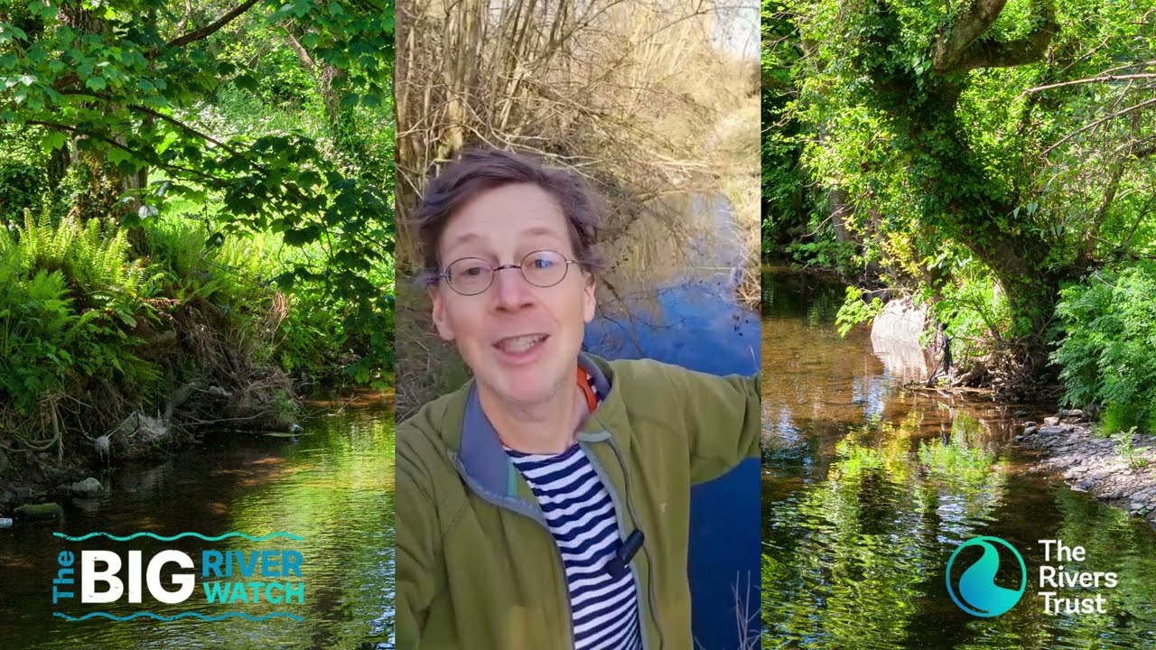 Manchán Magan invites you to take part in Big River Watch