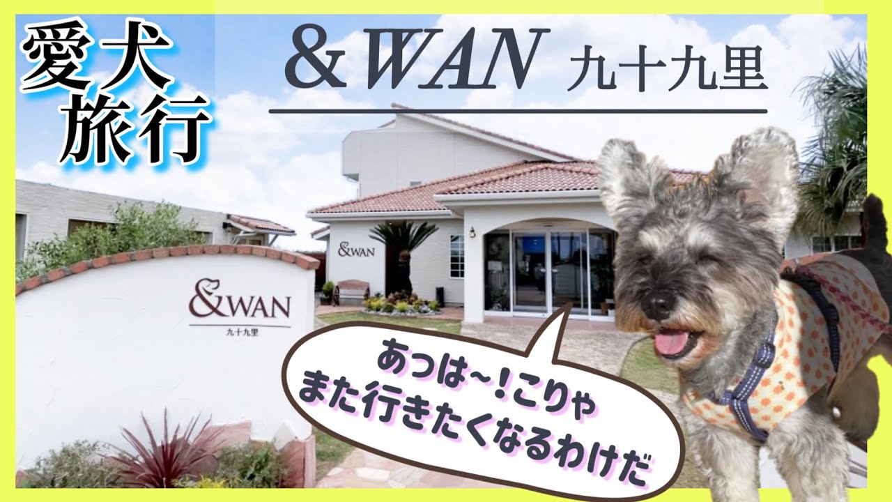 【＆WAN九十九里】波の音が聞こえる心地よいロケーション /  シェフこだわりの創作フレンチ に感動 /  愛犬とずっと一緒に過ごせるステキな宿