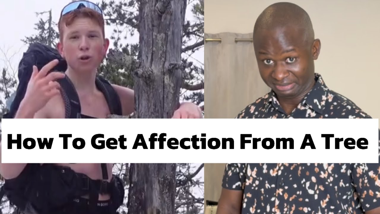 How To Get Affection From A Tree