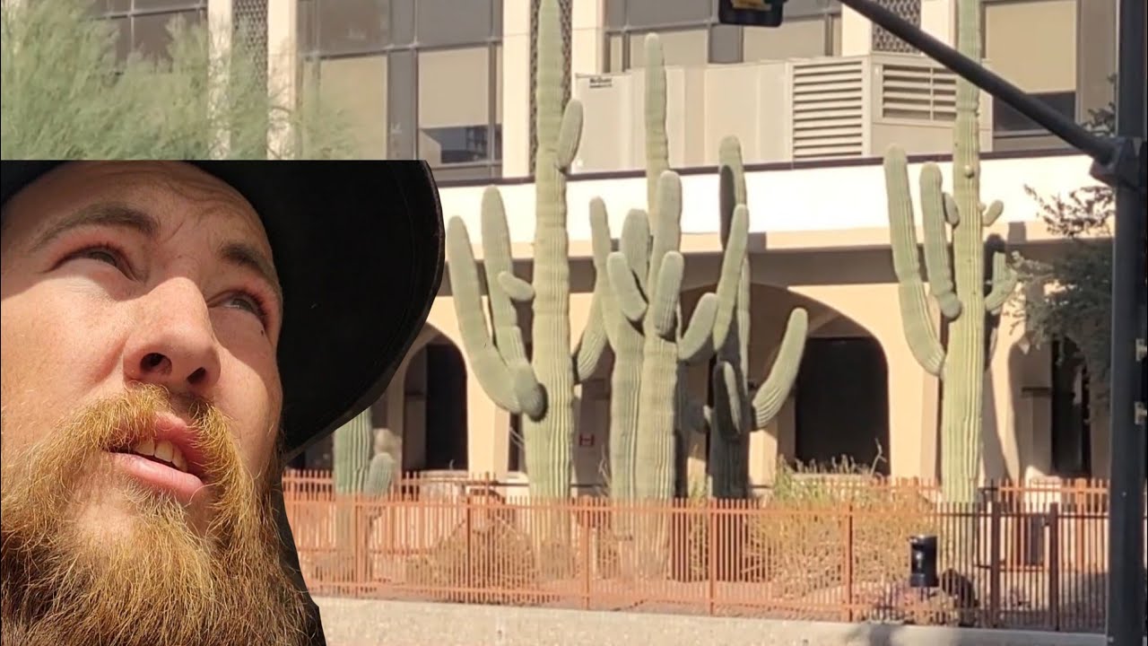 Being Homeless in Tucson