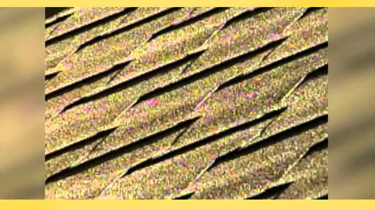 ABC Seamless Steel Roof Video