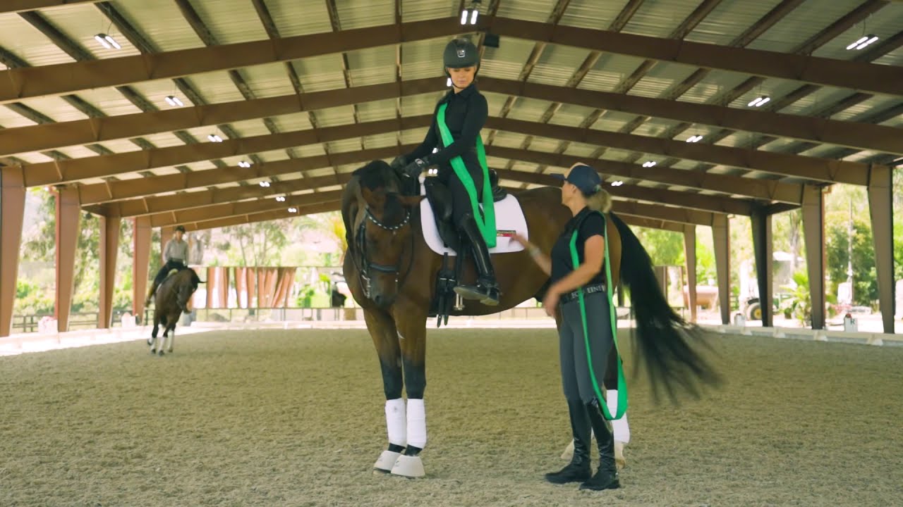 Equiformance Rider Posture Slings