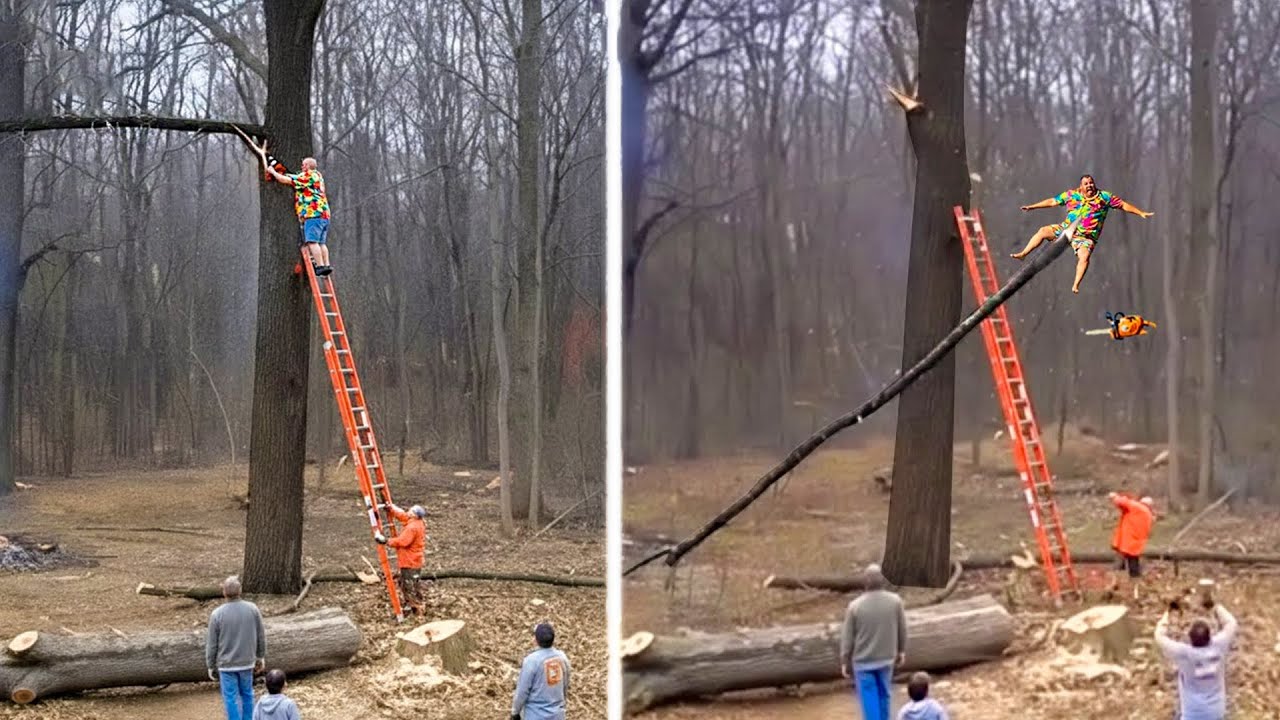 Idiots With Chainsaws: Tree Cutting Fails | Tree Falling on House #10