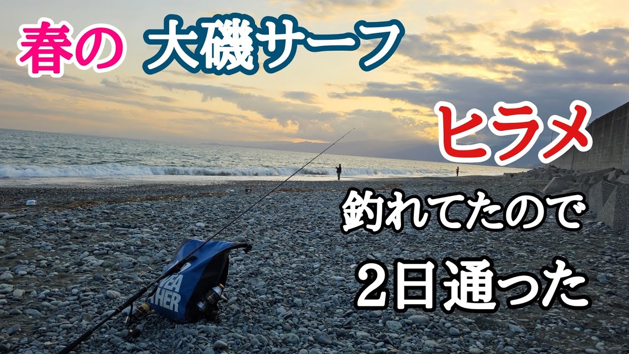 春の大磯サーフ　ヒラメ釣れてたので2日通った結果