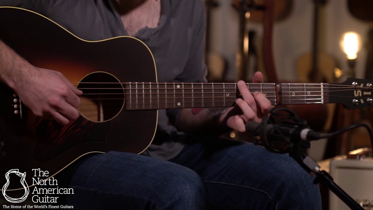 Iris DE-11 Dan Erlewine Signature Model demo