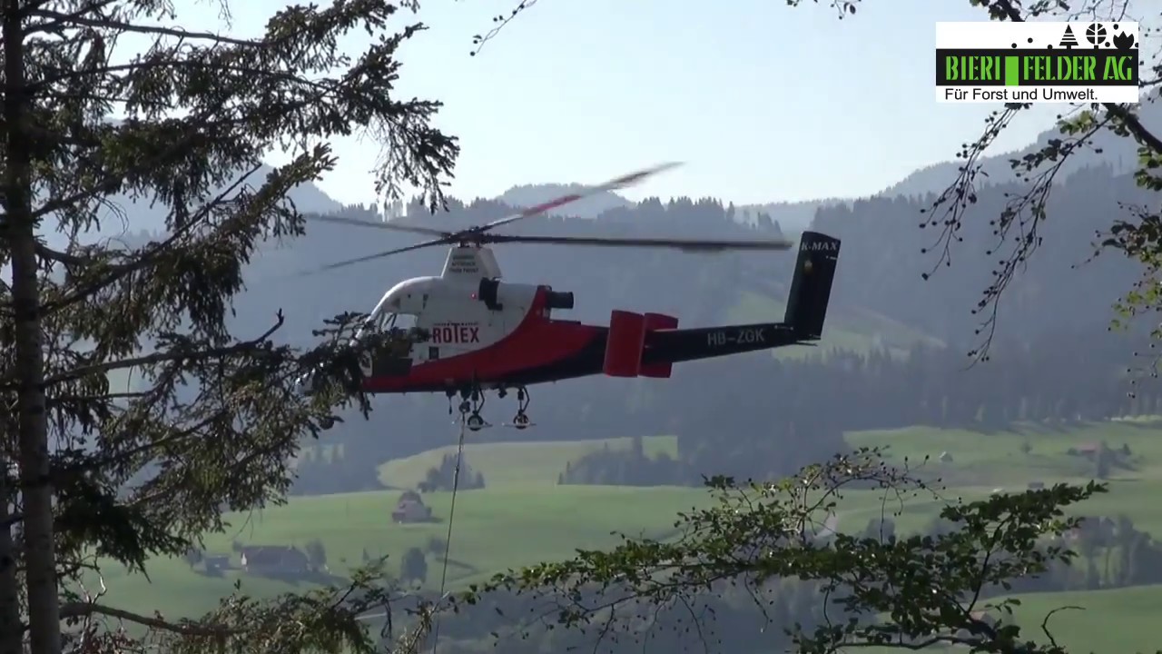 Bieri Felder AG - Sturmholz ausfliegen