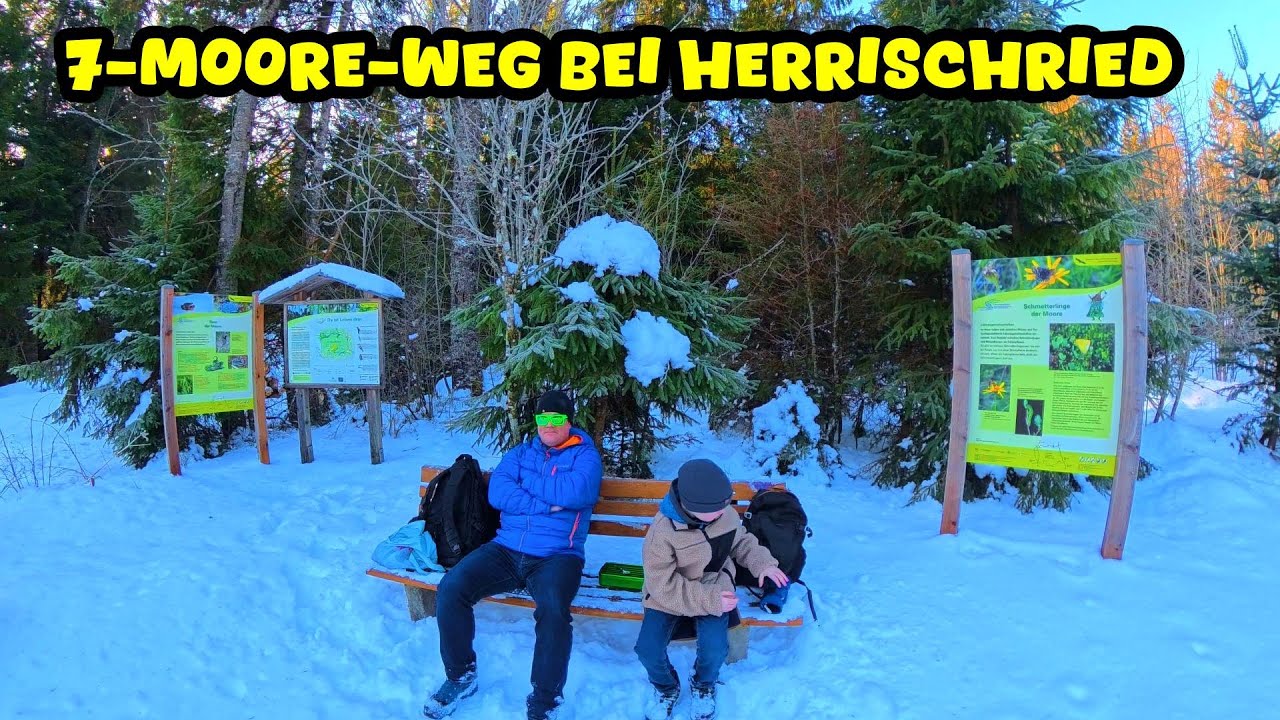 ⛄❄Schneewanderung auf dem 7-Moore-Weg bei Herrischried im Hotzenwald (Südschwarzwald)