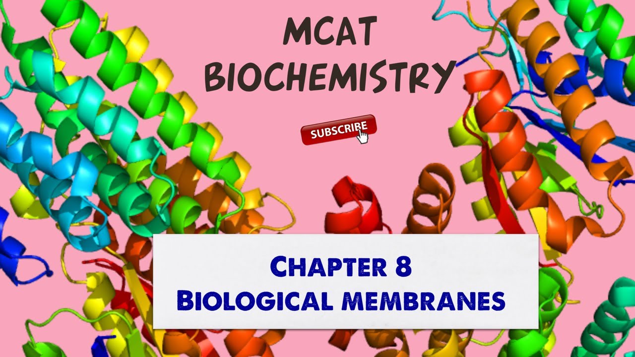 MCAT Biochemistry: Chapter 8 - Biological Membranes (1/1)
