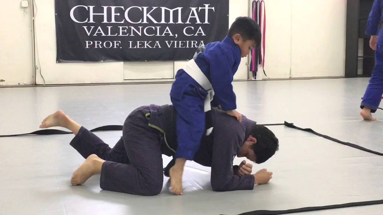 SebTV with Prof. Leka Vieira