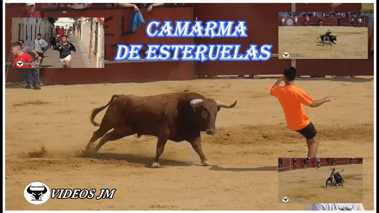 Encierro y Capea Camarma de Esteruelas (05-09-25)
