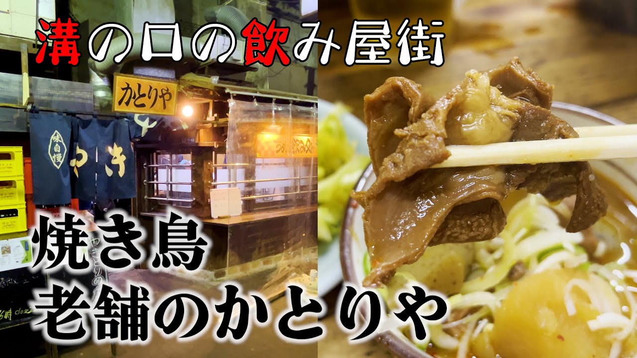 溝の口の飲み屋街 老舗の焼き鳥かとりやが美味い#東京グルメ#居酒屋#焼き鳥